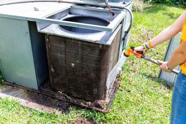 Best Home Air Vent Cleaning  in Ak Chin Village, AZ